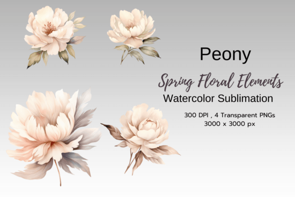 Download Peony Spring Florals Clipart Png - Premium Resources