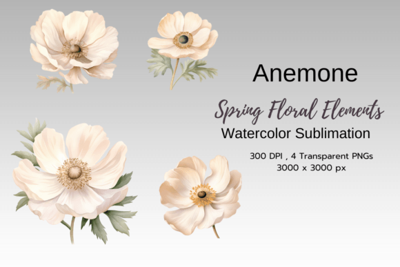 Download Spring Florals Watercolor Clipart Png - Premium Bundle